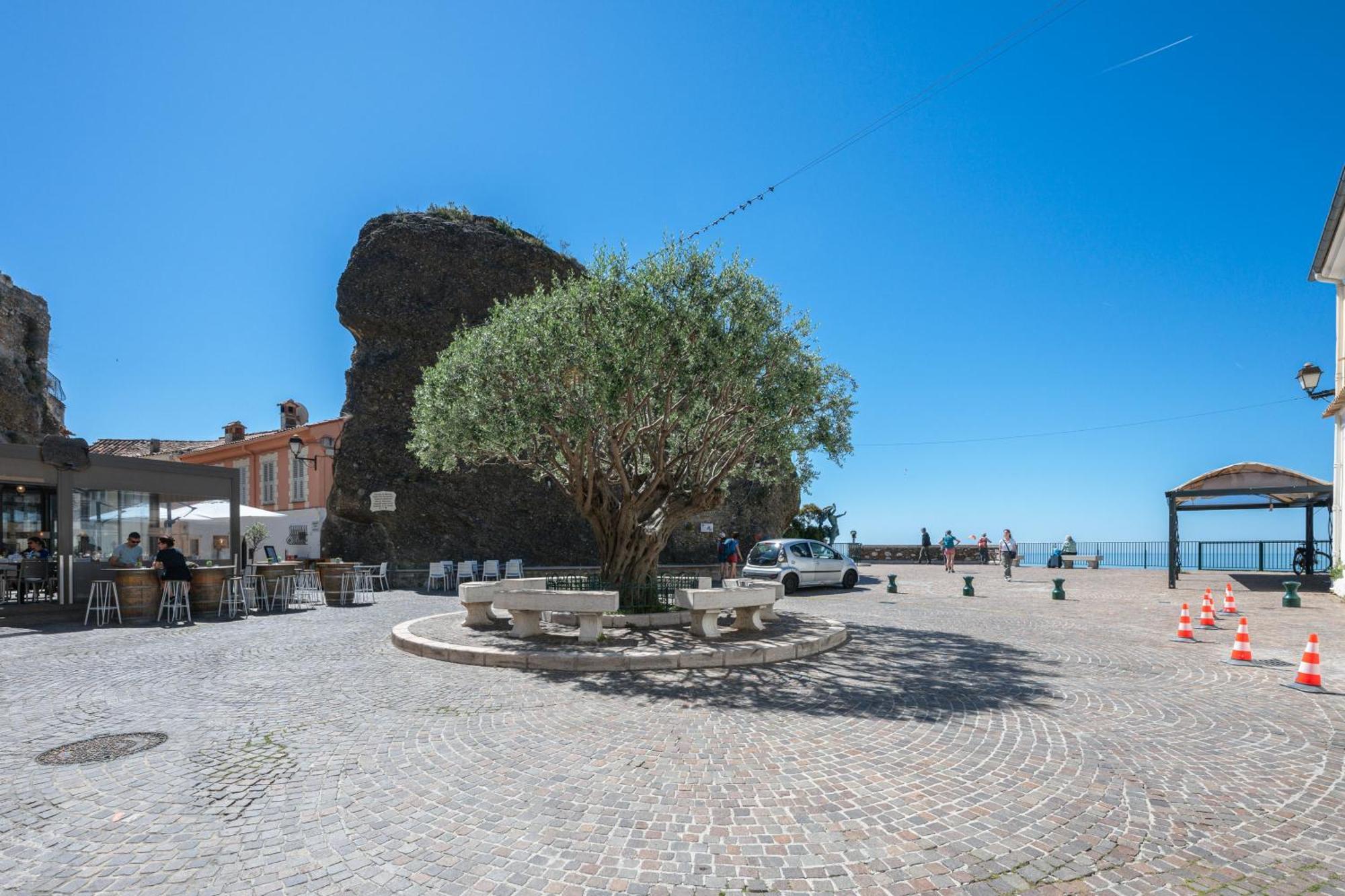 Le Coq Grimaldi - Wifi - Air Conditioning - Quiet Roquebrune-Cap-Martin Zewnętrze zdjęcie